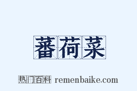 蕃荷菜是什么意思的图片